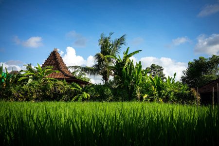 Bali Full-Day Traditional Village Sightseeing Trip