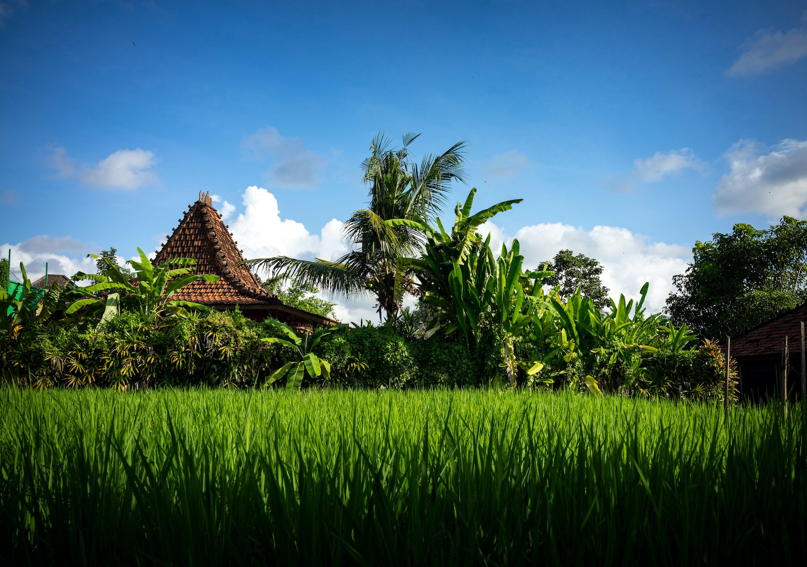 Bali